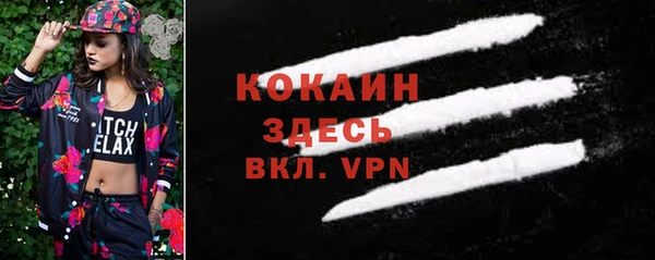 дживик Абаза