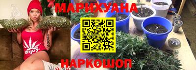 сатива Гусев