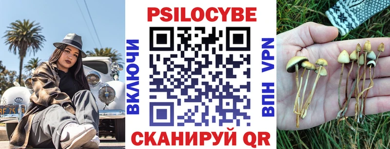 хочу наркоту  Кандалакша  Псилоцибиновые грибы прущие грибы 