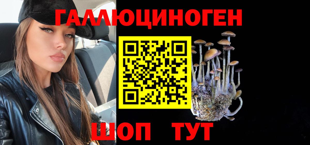 Галлюциногенные грибы MAGIC MUSHROOMS  Псилоцибиновые грибы MAGIC MUSHROOMS  купить закладку  Вход с VPN  Кандалакша 